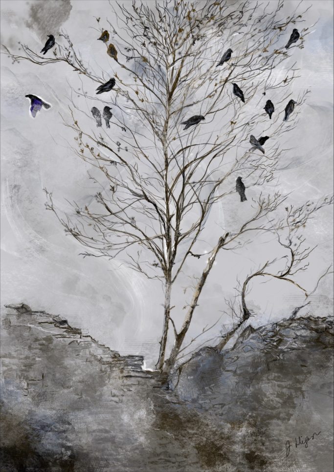 'The Jackdaw Tree', Old School House, Goginan