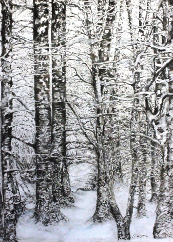 'Winter Birch, Dinas Forest' (pastel on paper)